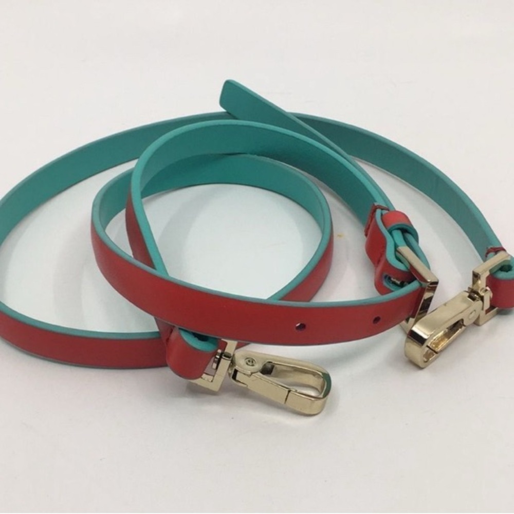 Stylish Red and Teal Women's Belt